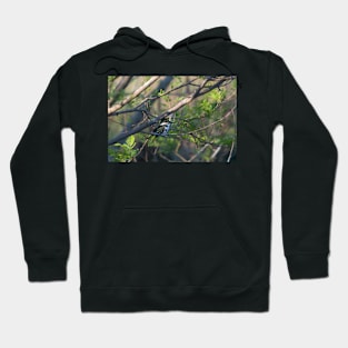 Green Kingfisher Perched in Different Tree Hoodie